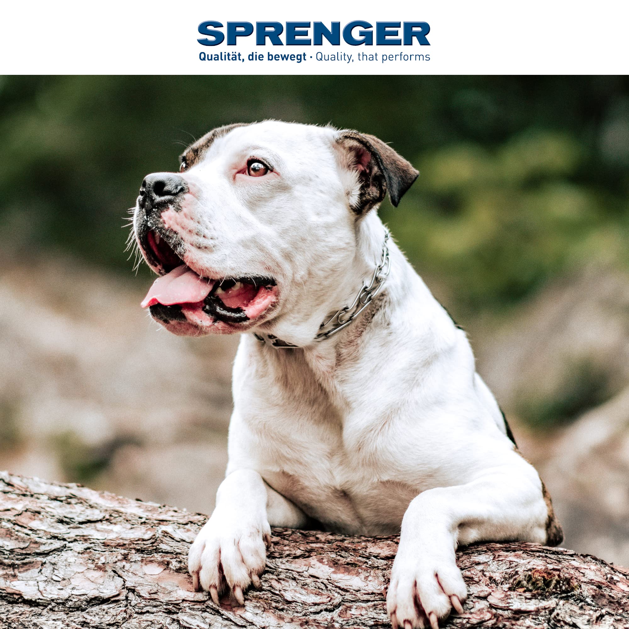 Herm Sprenger Stainless Steel Dog Training Collar with Swivel D-Ring - 3 Extra Links & 30 Comfort Tips for Small, Medium & Large Dogs - Made in Germany (Small-Medium) - Perfect for Obedience Training, Daily Walks & Pet Safety