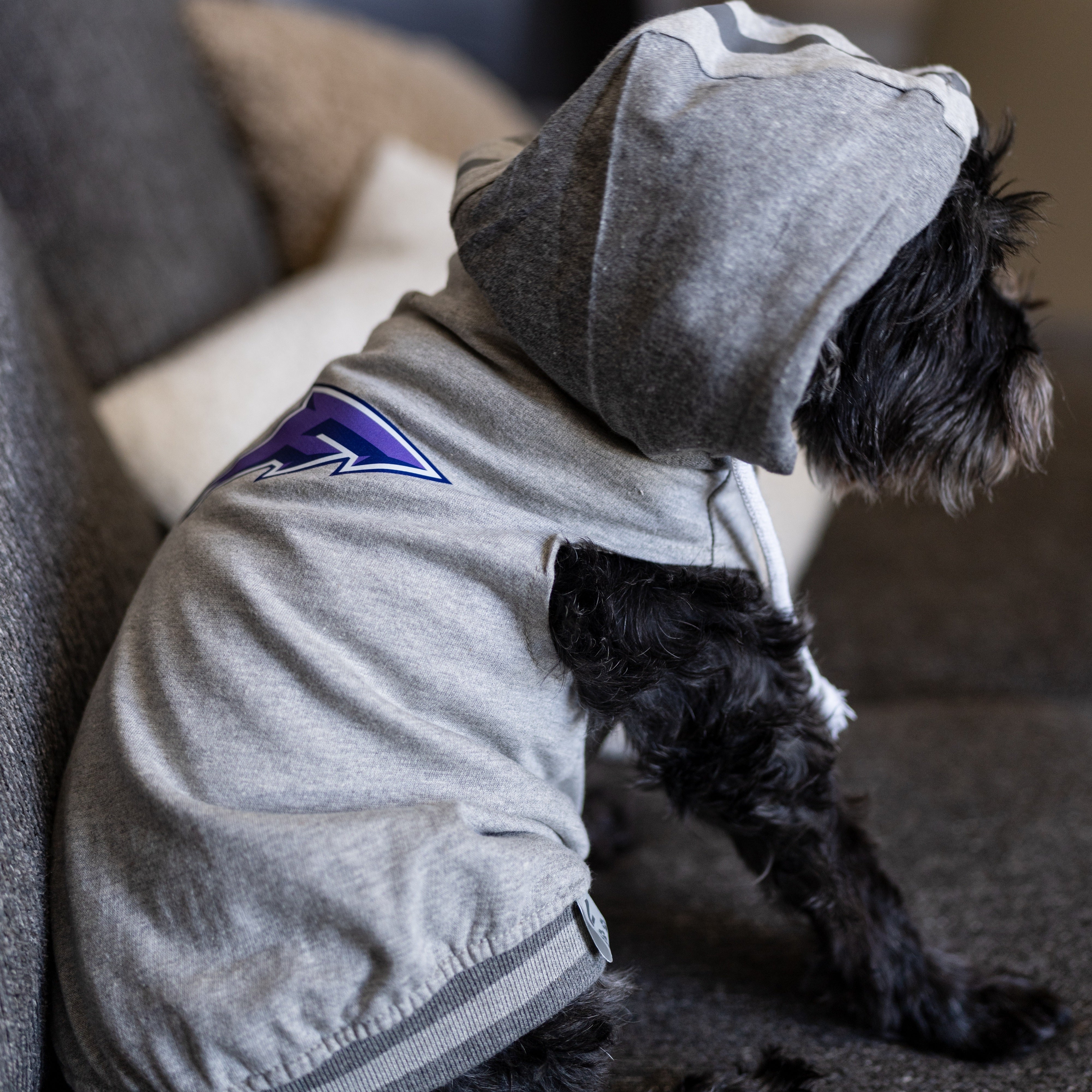 Minnesota Frost Pet Hooded Crewneck Sweatshirt - Cozy Winter Pullover for Dogs, Cats & Small Pets - Perfect for Outdoor Walks & Indoor Cuddles