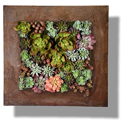 Rust Zinc