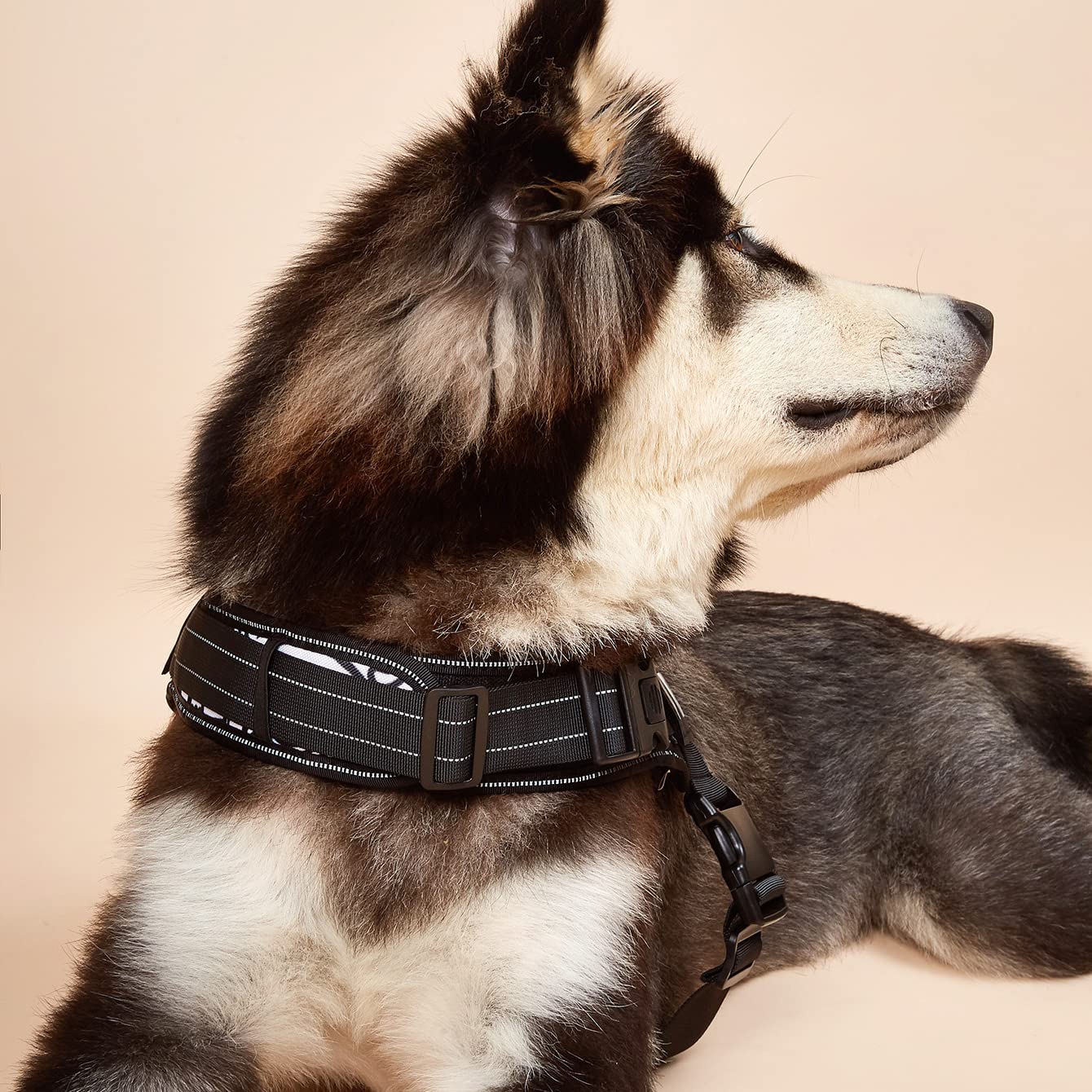 Dihapet No Pull Dog Harness - Adjustable Service Dog Vest for Training, Walking & Jogging - Reflective & Breathable Pet Vest for Small Medium Large Dogs - Perfect for Outdoor Adventures & Daily Walks