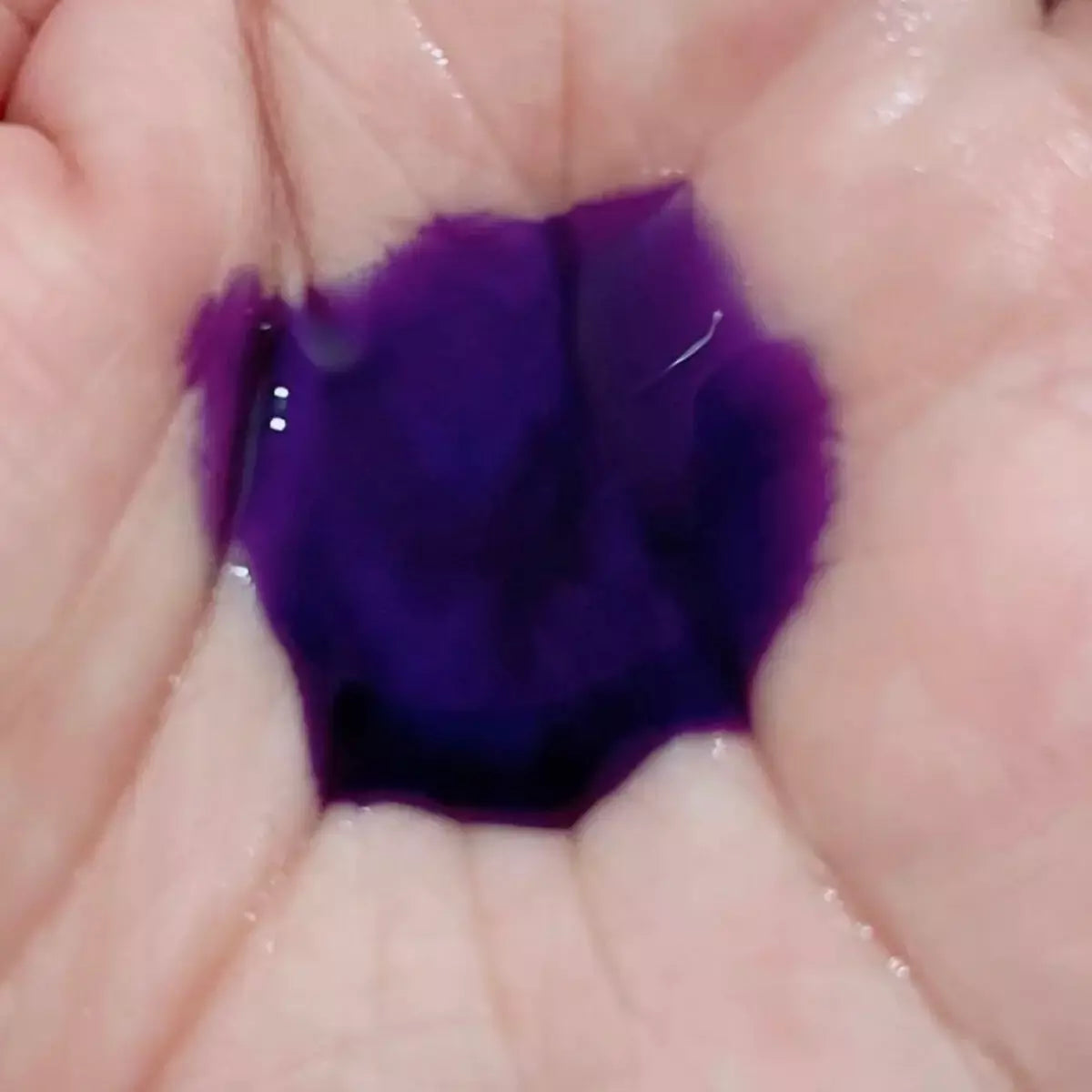Napla N. Color Shampoo - Purple Toning for Blonde & Gray Hair - 320ml Sulfate-Free Formula - Perfect for Salon & Home Use