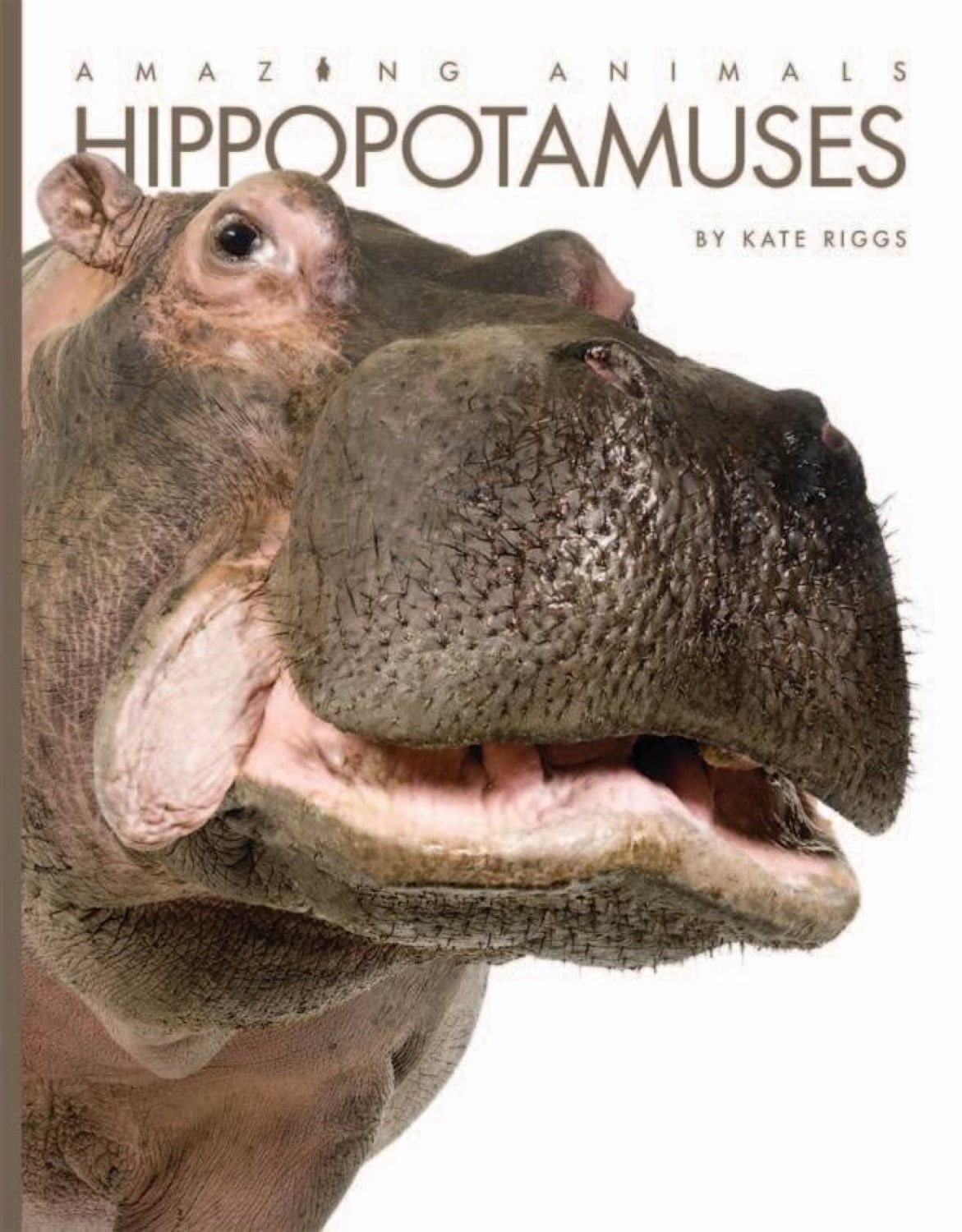 Amazing Animals (2014): Hippopotamuses - Educational Wildlife Documentary for Kids & Adults | Perfect for Classroom Learning & Family Movie Nights