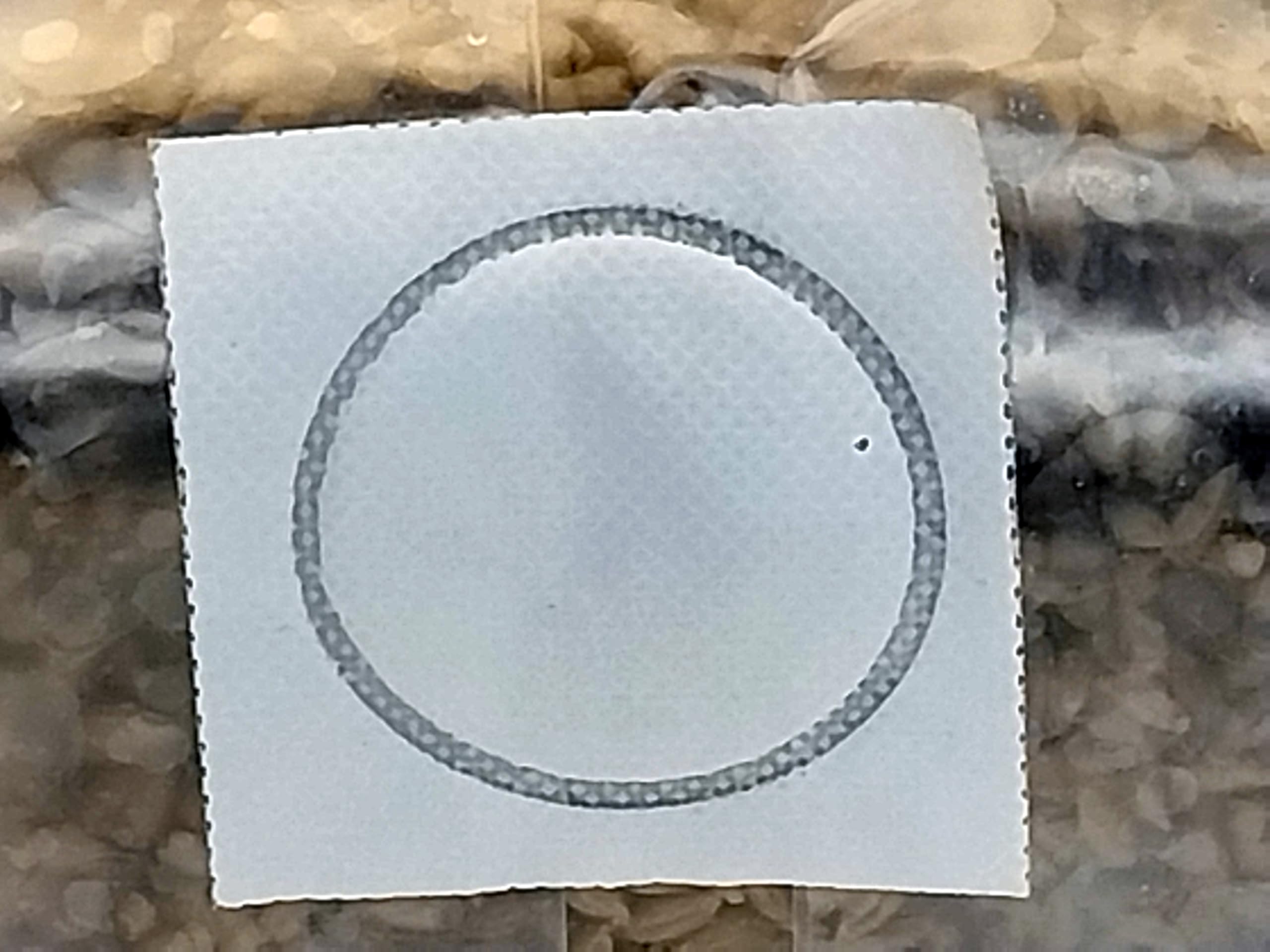 Sterilized Rye Berry Mushroom Substrate Bags - 18 Pack (1lb Each) - Premium Grain Spawn for Growing Gourmet Mushrooms at Home or Commercial Farming