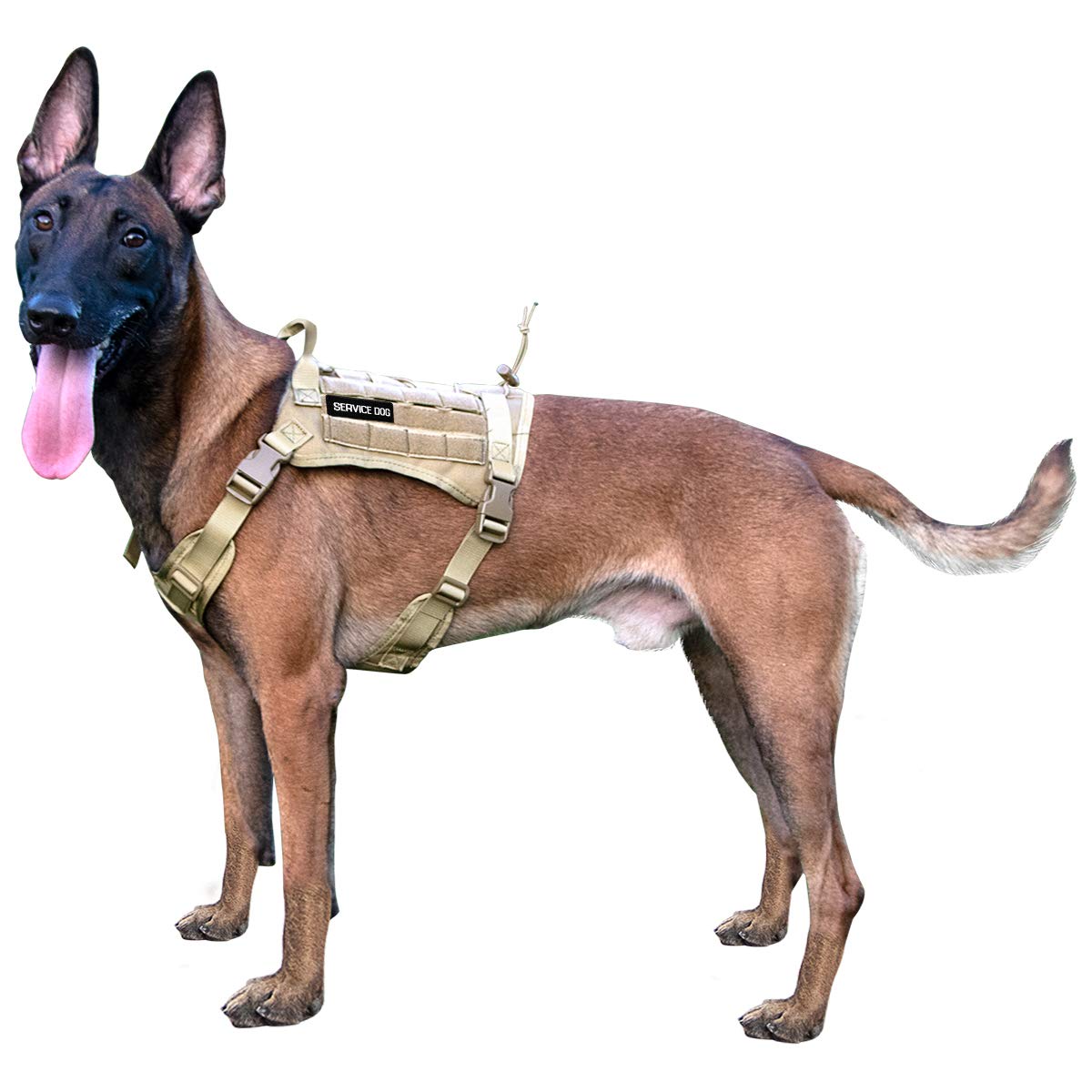 IronSeals Tactical Service Dog Vest - Patrol Training Harness with MOLLE System & Handles for Police K9, Military & Working Dogs - Perfect for Outdoor, Security & Search Missions