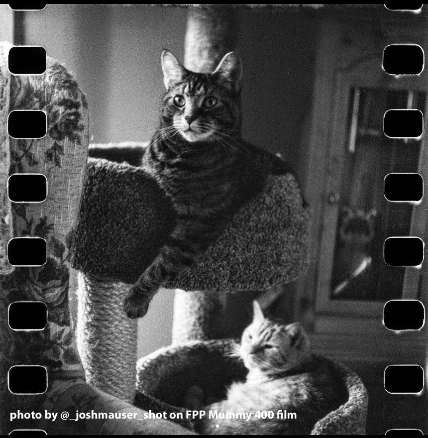 FPP The Mummy 400 35mm Black & White Film - 24 Exposures Roll for Vintage Photography & Low Light Shooting