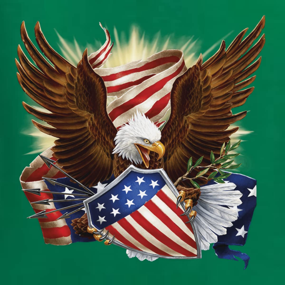 Wild Bobby Eagle American Flag Graphic Sweatshirt - Patriotic USA Pride Unisex Crewneck Pullover | Perfect for 4th of July, Veterans Day & Patriotic Events