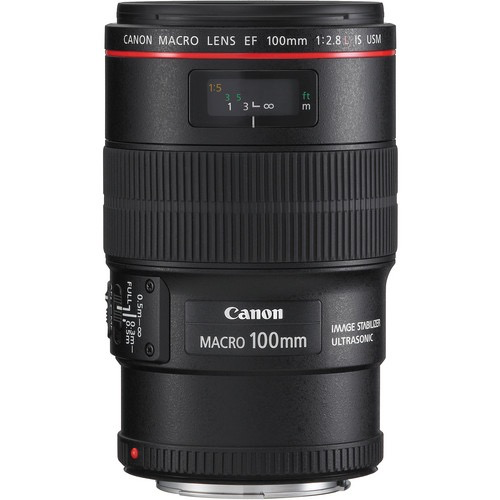 Canon EF 100mm f/2.8L Macro IS USM Lens - Professional Macro Photography (Open Box) | Perfect for Product Shots, Jewelry Photography & Nature Close-ups
