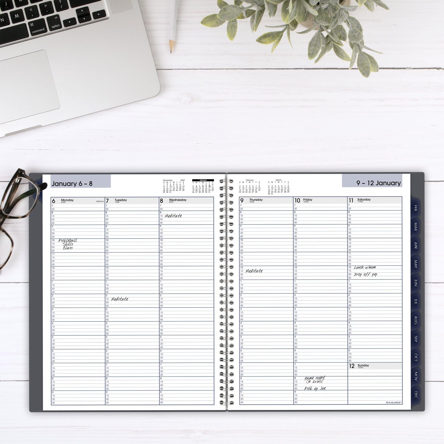 AT-A-GLANCE 2025 Weekly & Monthly Planner - 8.5