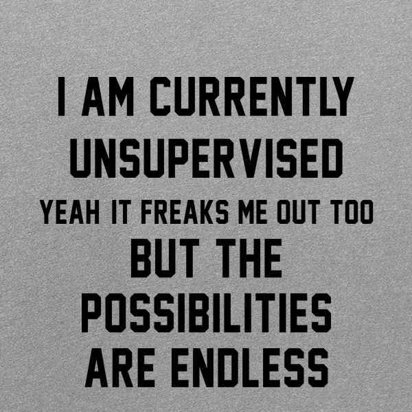 Funny 'I Am Currently Unsupervised' Long Sleeve T-Shirt by Pop Threads - Humorous Gift for Adults, Casual Wear for Work or Weekend Outings