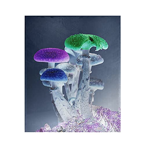 Color9