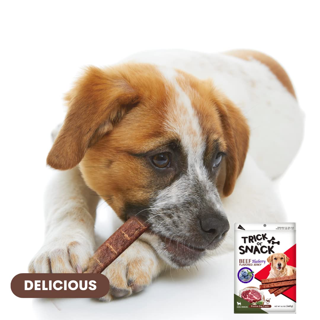 Premium 1lb Natural Dog Jerky Treats - Healthy Smoked Beef, Chicken & Salmon Chews with Blueberry | High Protein Training & Walking Snacks | Perfect for Reward, Travel & Outdoor Adventures