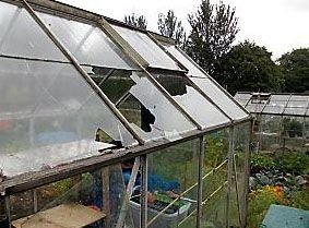 Holland Plastics 4-Pack Polycarbonate Greenhouse Panels 2mm Thick 608x608mm - Shatterproof Glazing Sheets for Roof & Wall Replacement - Perfect for DIY Greenhouses, Sheds & Garden Structures
