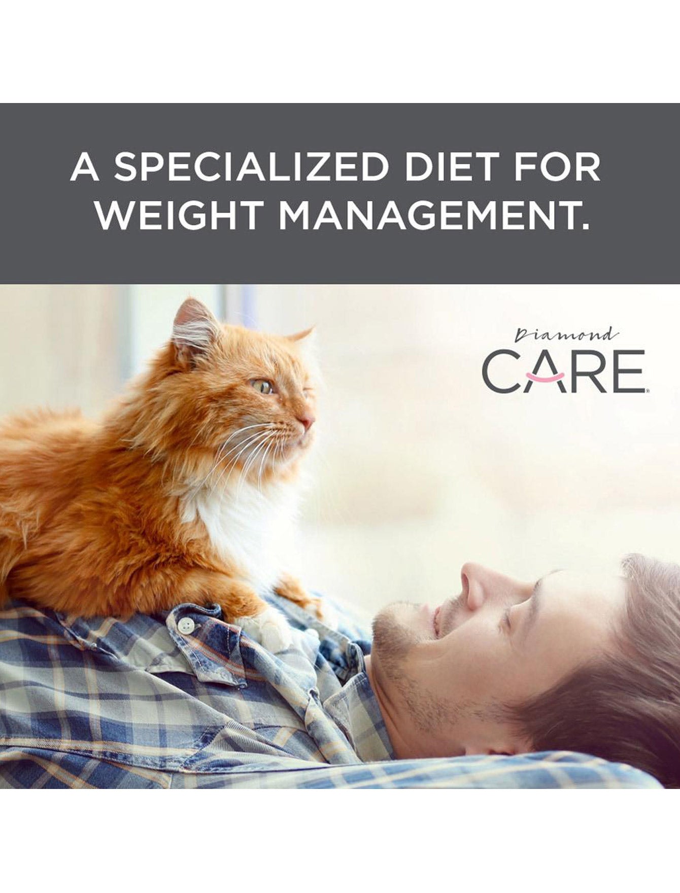 Premium Diamond Care Weight Management Formula for Adult Cats - 6lb Bag - Healthy Weight Control Cat Food for Indoor & Overweight Cats - Perfect for Portion Control & Balanced Nutrition