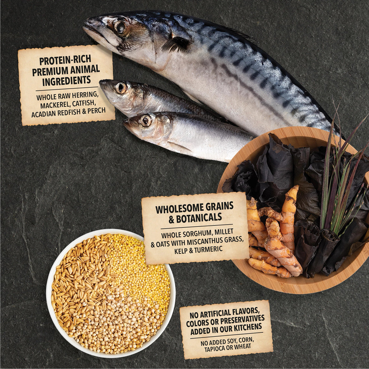 Premium Acana Dog Food with 60% Wholesome Grains - Sea to Stream Fish Recipe - High Protein Dry Kibble for Adult Dogs - Perfect for Active Pets & Outdoor Adventures