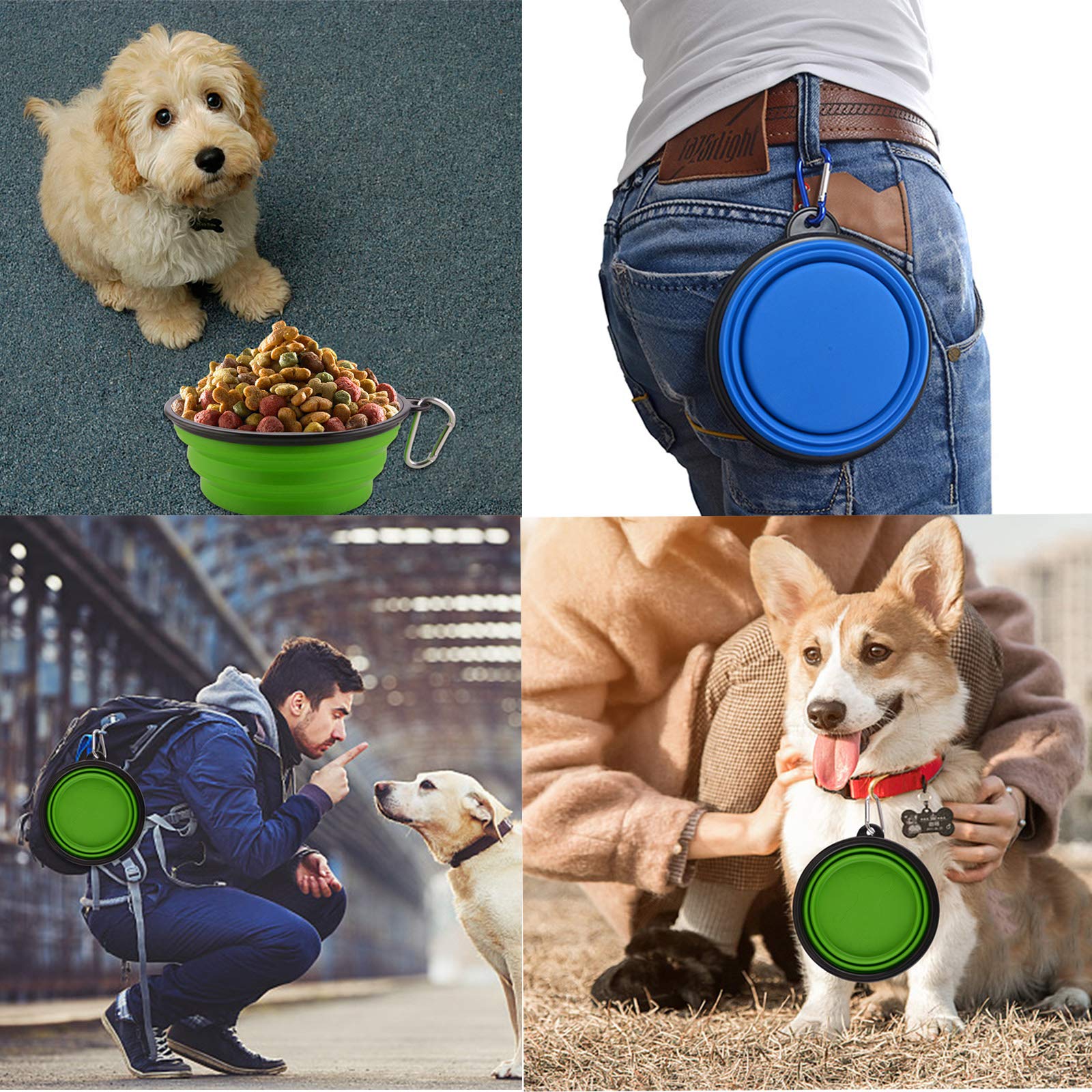 34oz Collapsible Dog Bowls 2 Pack - Portable Foldable Travel Water & Food Bowl for Dogs with Carabiner Clip - Lightweight Pet Feeding Dish for Hiking, Camping, Walking, Outdoor Adventures (Purple + Green)