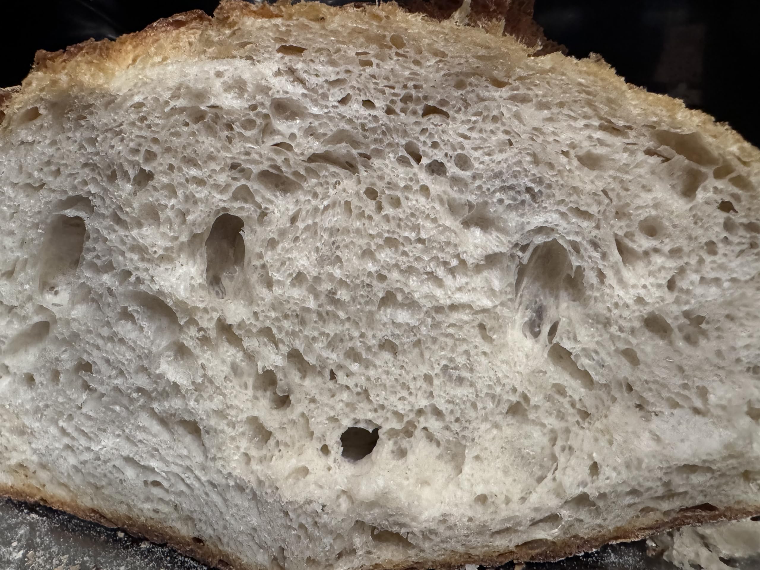 110+ Year Old All Natural Live Hungarian Sourdough Starter | 100g | Pre-Fed & Active Culture | Includes Artisan Bread Recipe | Perfect for Homemade Bread Baking & Sourdough Pizza