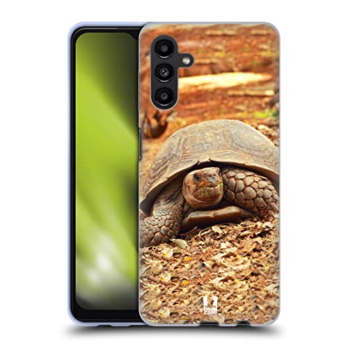 Crawling Tortoise