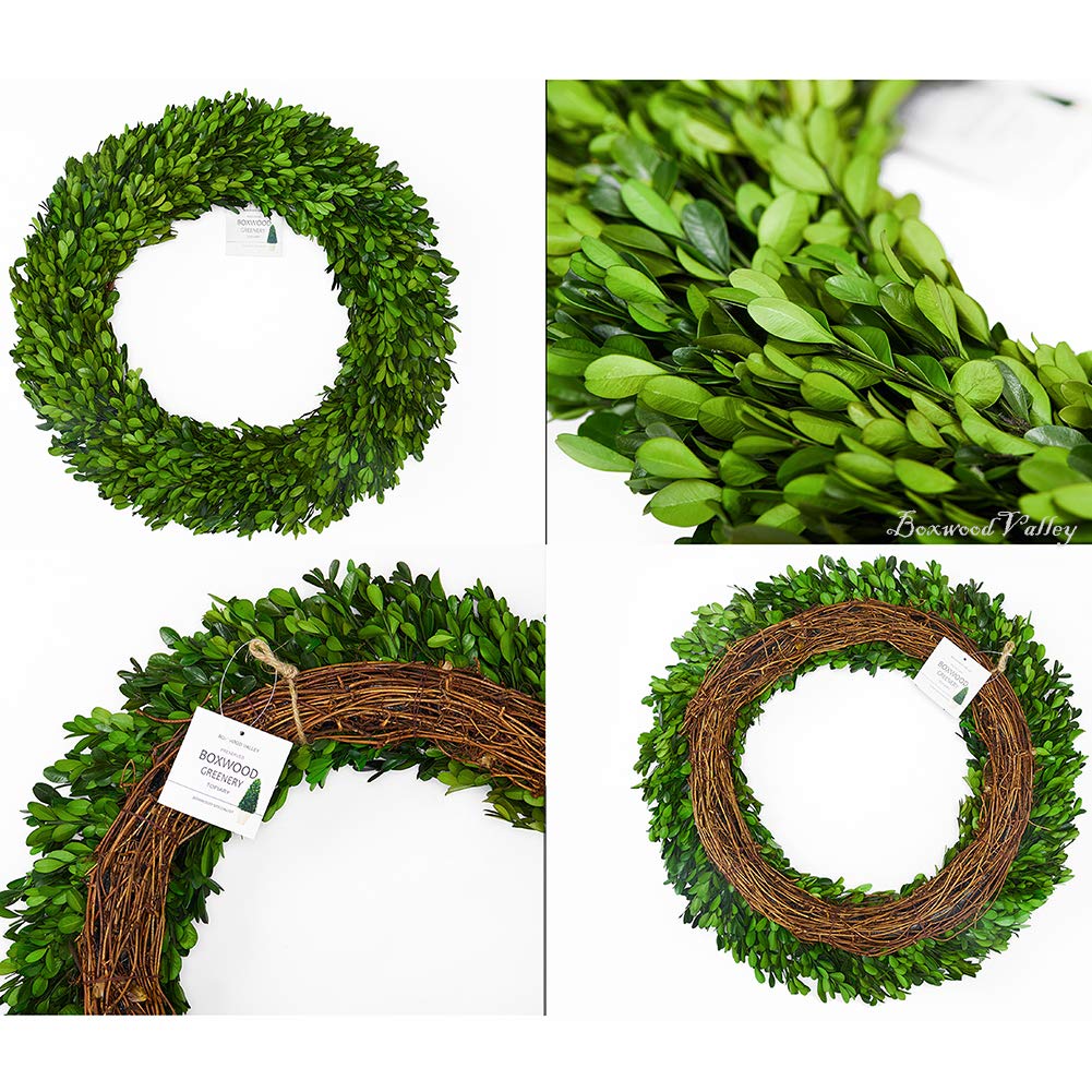 22 Inch Preserved Boxwood Wreath - X-Large Natural Home Decor for Doors, Walls & Windows | Long-Lasting Freshness for Years | Perfect for Spring, Summer, Weddings & Holiday Decorations