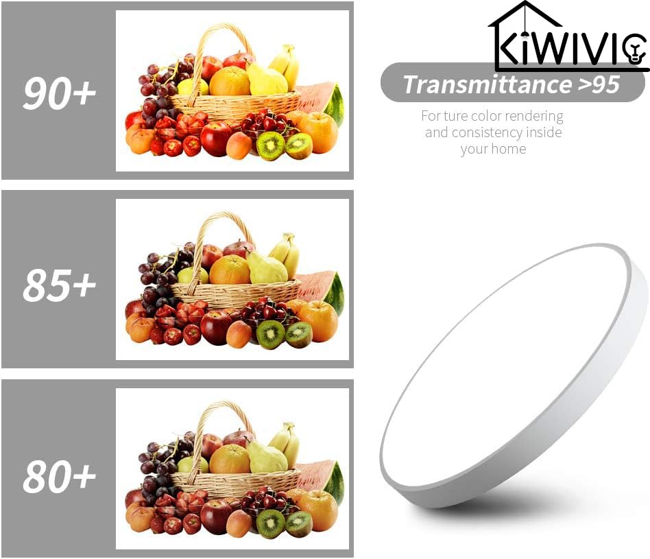 24 Inch Flush Mount LED Ceiling Light - Round Dimmable Panel Light Fixture with Remote Control, 48W (260W Equivalent), 2880lm, 2800-6500K Color Changing, 90 Ra+, for Bedroom, Living Room, Kitchen, Office Lighting