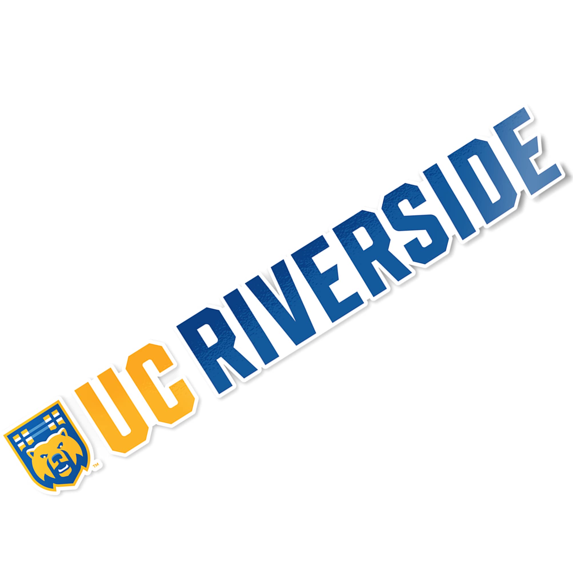 UCR Highlanders Vinyl Decal Sticker - 15 Inch Desert Cactus Design for Laptop, Water Bottle, Car & Scrapbook | University of California Riverside School Spirit Decoration