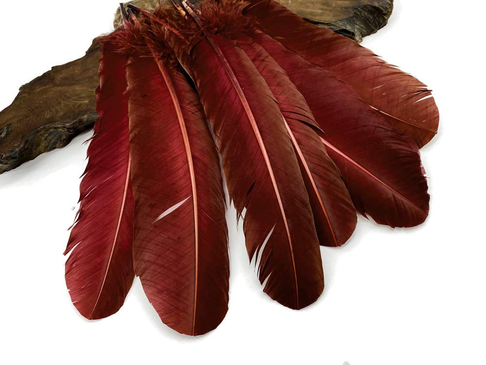 1 Lb. Wine Brown Turkey Tom Rounds Secondary Wing Quill Feathers Bulk - Halloween Craft Supplies, DIY Costume Accessories, Dreamcatcher Making | Moonlight Feather