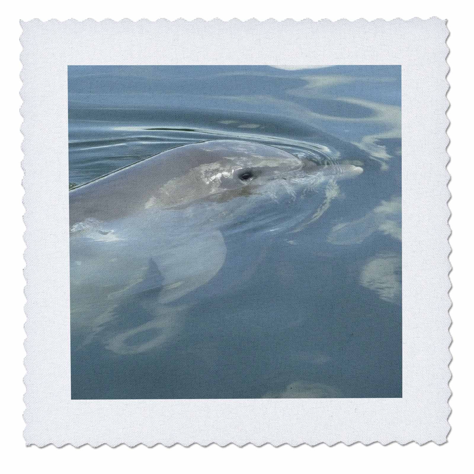 3D Rose Dolphin Thoughts Quilt Square - 6x6 Inch Fabric Patch for DIY Quilting, Sewing & Craft Projects - Perfect for Home Decor, Wall Art & Gift Ideas (qs_7333_2)