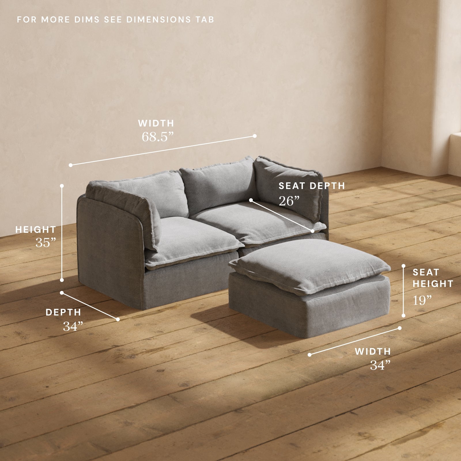 Premium Modular Performance 2-Seater Sofa with Ottoman in Ash Gray | Luxe Fabric Blend | Perfect for Living Rooms, Home Theaters & Cozy Spaces