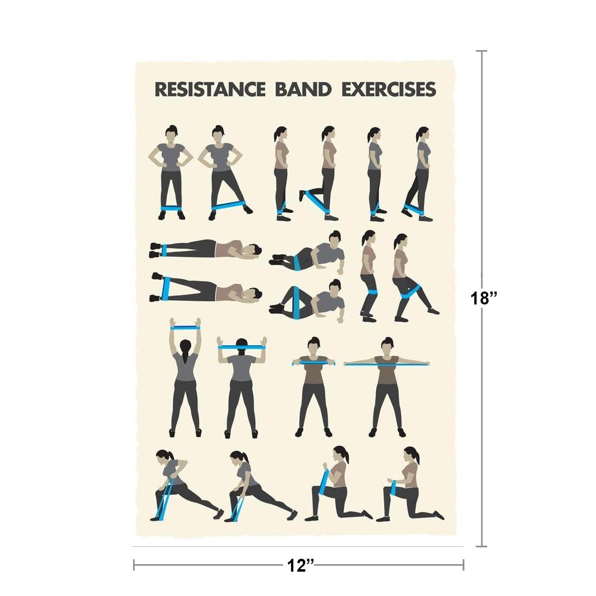 Resistance Bands Workout Poster - 12x18 Inch Home Gym Exercise Chart | Fitness Training Guide & Cool Wall Art for Strength Training | Perfect for Home Workouts, CrossFit & Personal Training Studios