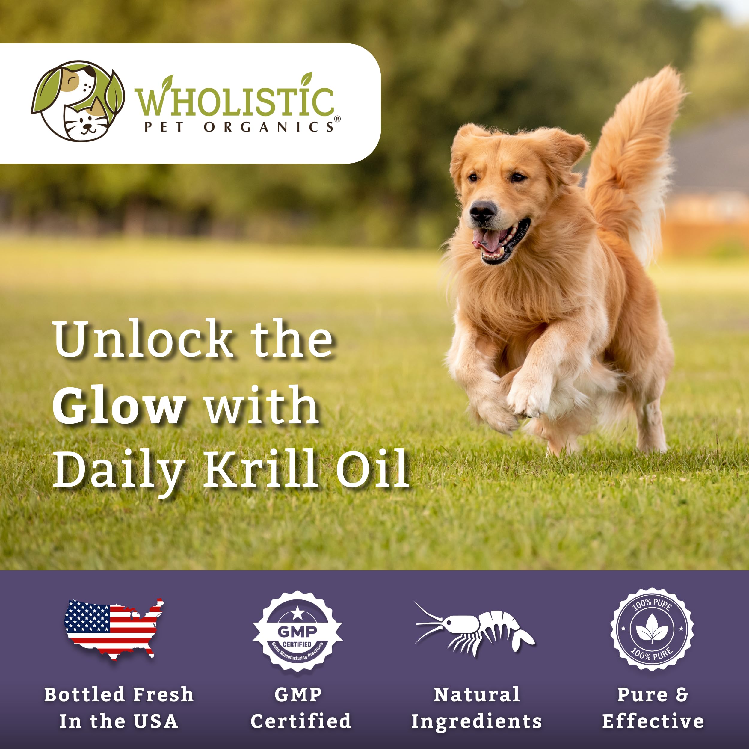 Wholistic Pet Organics Krill Oil Soft Gel Capsules for Dogs - 200 Count - Omega-3 & Astaxanthin Supplement for Joint Health, Shiny Coat & Heart Wellness - Perfect for Senior Dogs & Active Breeds
