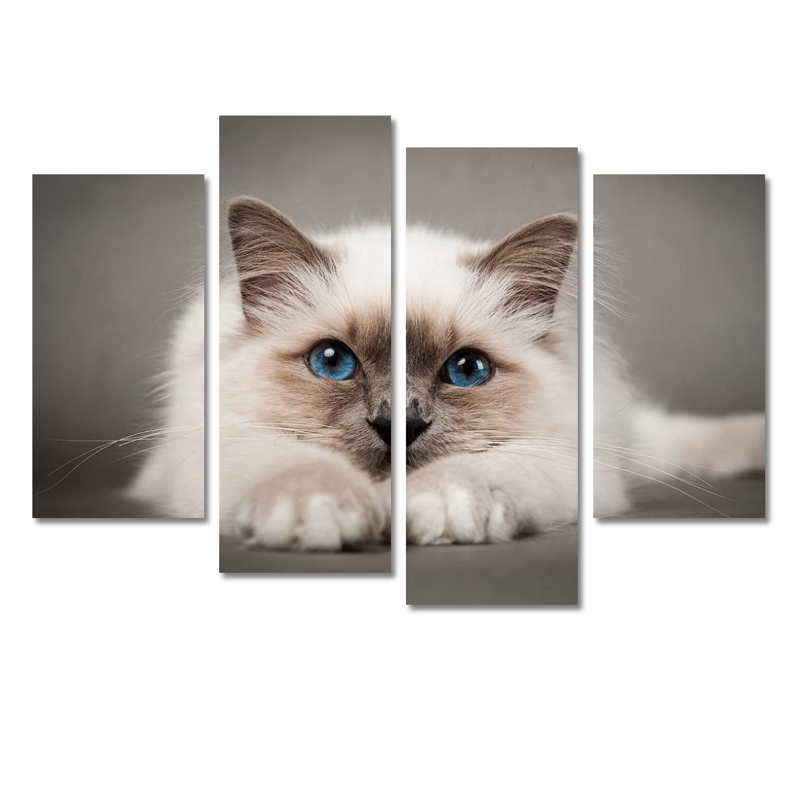 Little Cat Berman Canvas Wall Art Set - 4 Piece Framed Paintings 32x20 Inches for Living Room & Bedroom Decor - Modern Home Wall Decor for Housewarming Gifts & Interior Design