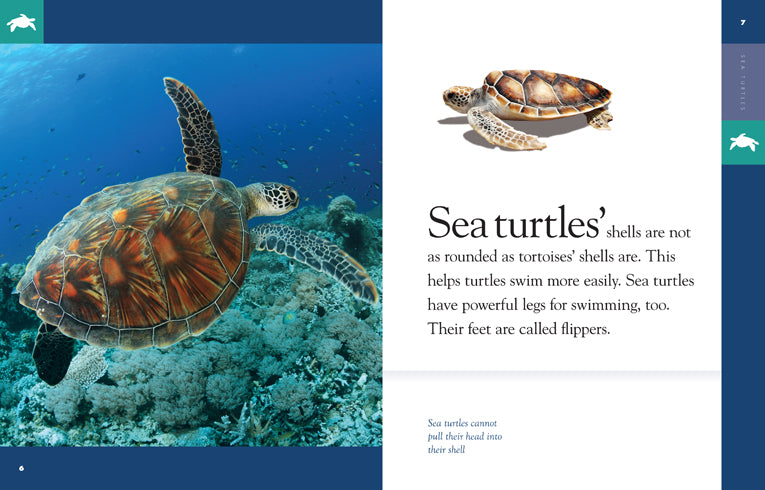 Amazing Animals (2014): Sea Turtles - Educational Marine Life Documentary for Kids & Nature Lovers | Perfect for Classroom Learning & Family Movie Nights
