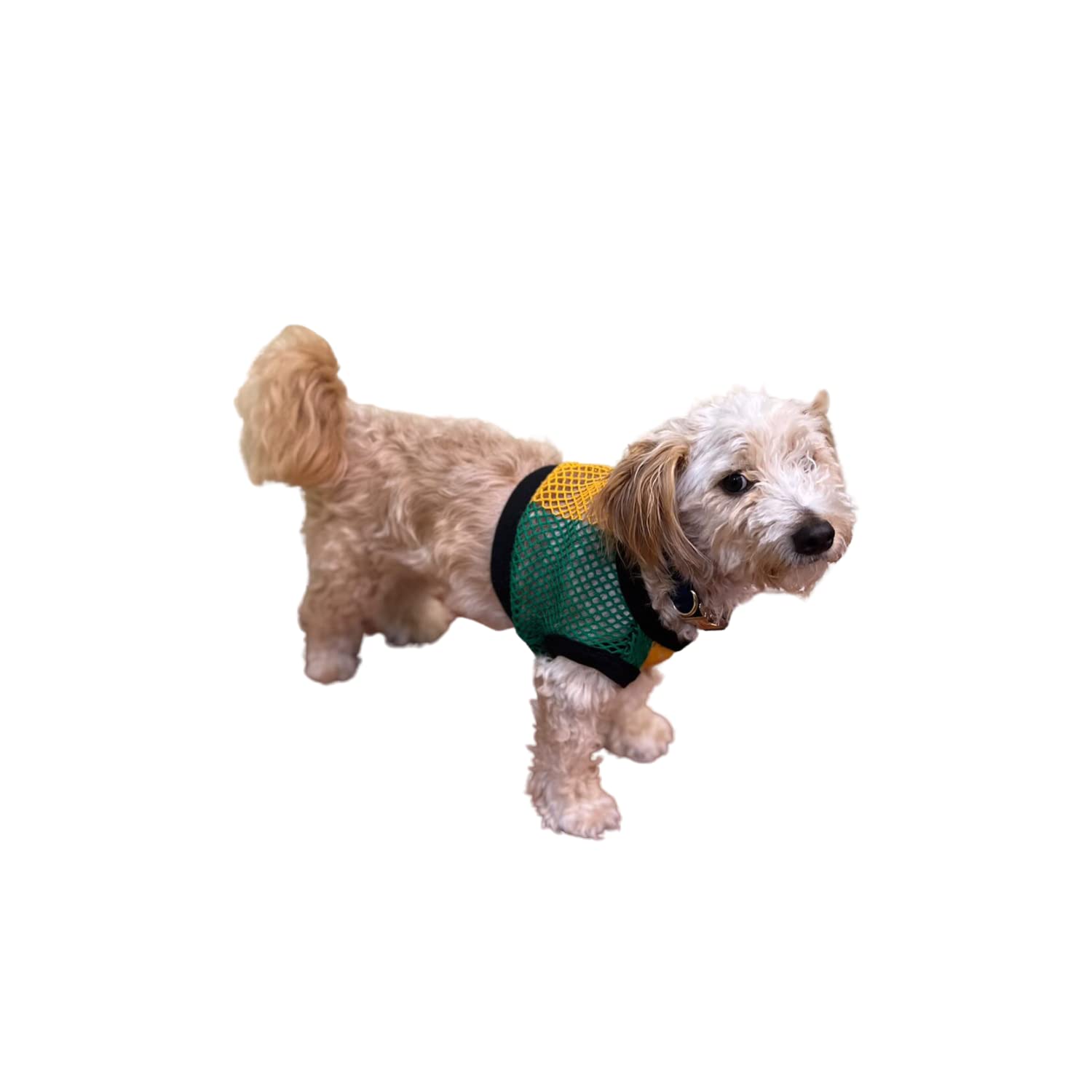 Stylish Summer Dog T-Shirts for Small Breeds - 5 Pack Cute Puppy Outfits for Chihuahua, French Bulldog & Yorkie | Perfect for Outdoor Walks, Pet Parties & Photo Shoots