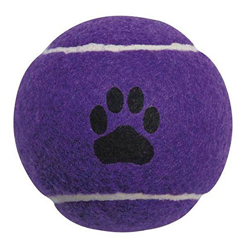 Durable 2.5 Inch Dog Tennis Balls - Colorful Chew Toys for Pets (5-Pack) | Perfect for Fetch, Training & Outdoor Play