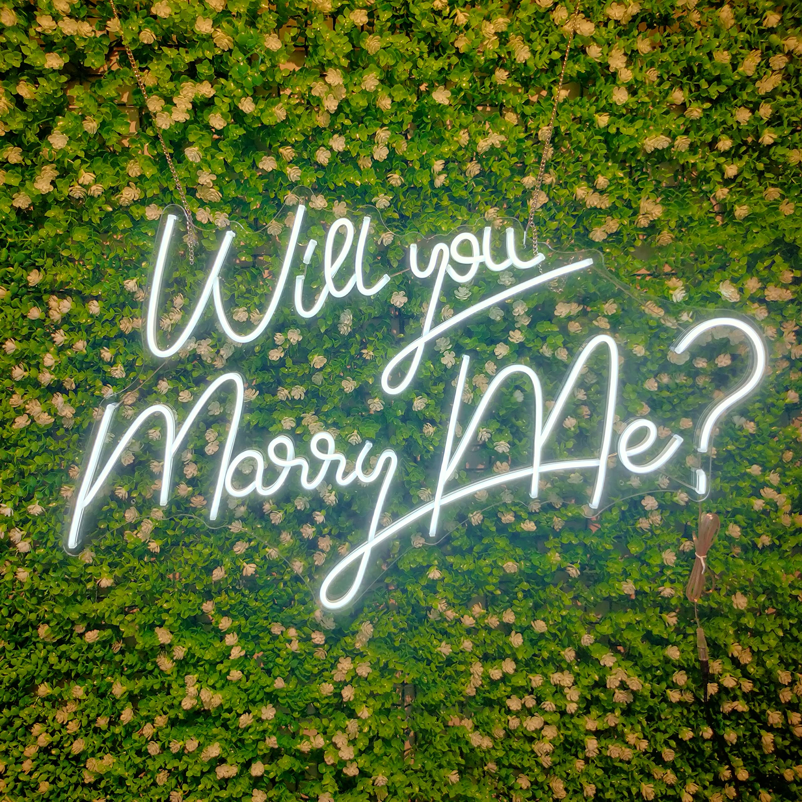 27.5 Inch Customizable 'Will You Marry Me?' Neon Sign with 12V Dimmer Switch - Romantic Wedding Wall Decor & Proposal Lighting for Bedroom, Party, and Special Events