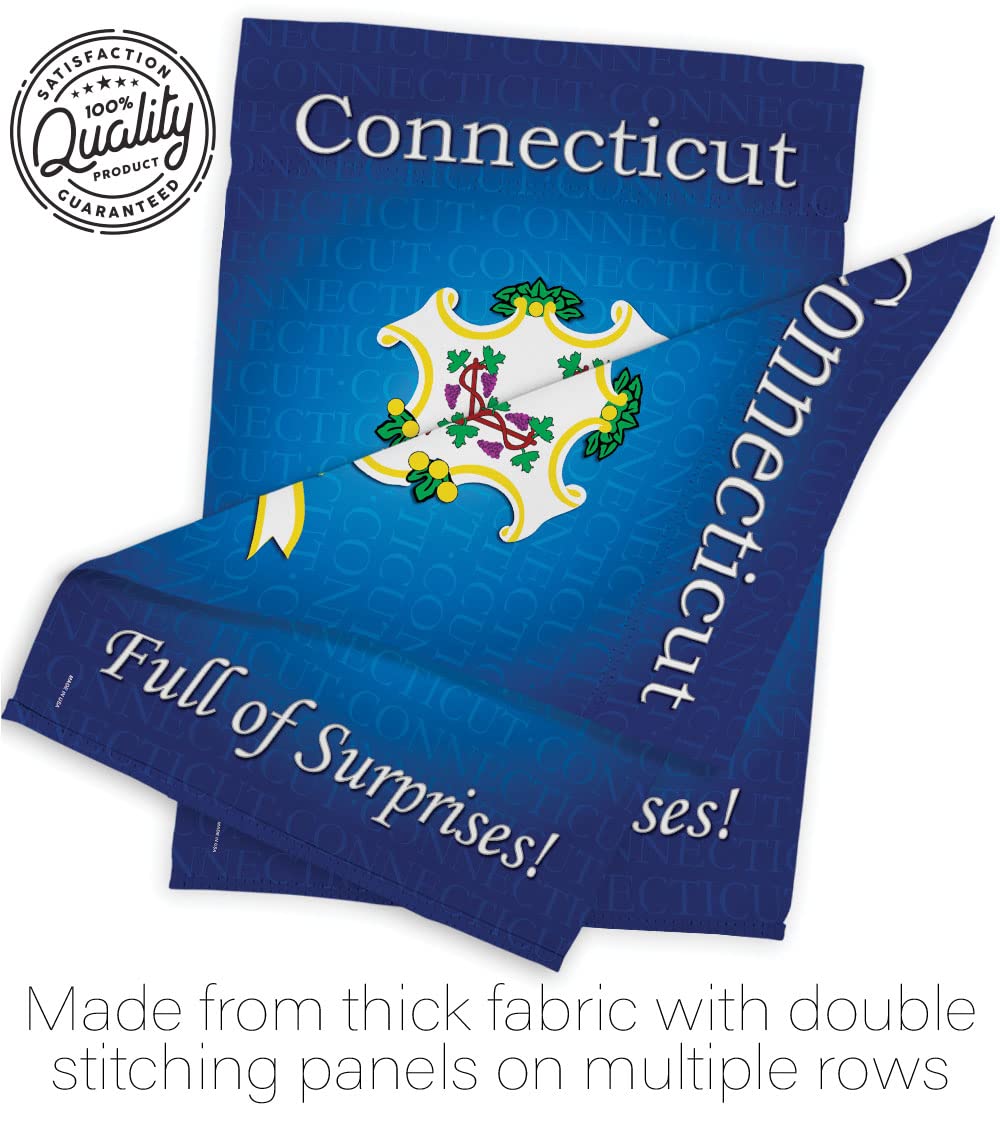 Connecticut Americana House Flag Set 28x40