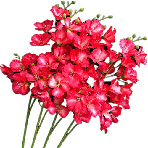 Rose Red