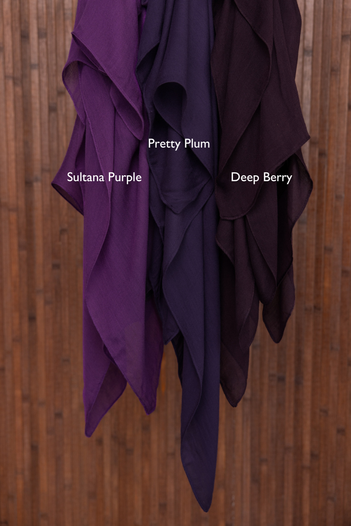 Pretty Plum - Fresh & Juicy Plums for Snacking, Baking & Smoothies | Perfect for Healthy Desserts & Fruit Salads