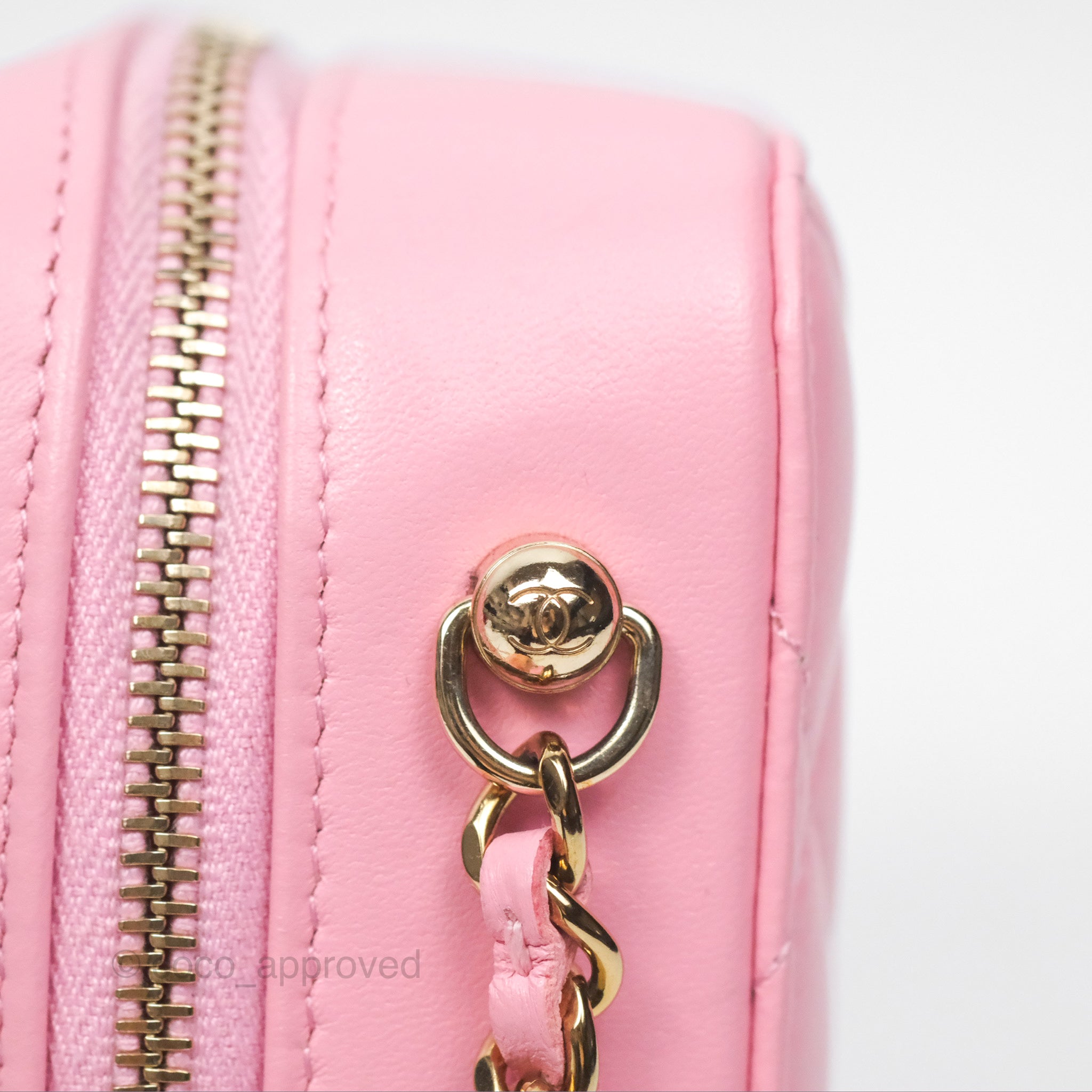 Chanel Quilted Lambskin Camera Bag in Pink with Gold Hardware - Perfect for Everyday Use & Special Occasions