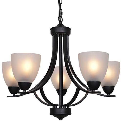 black 5 light