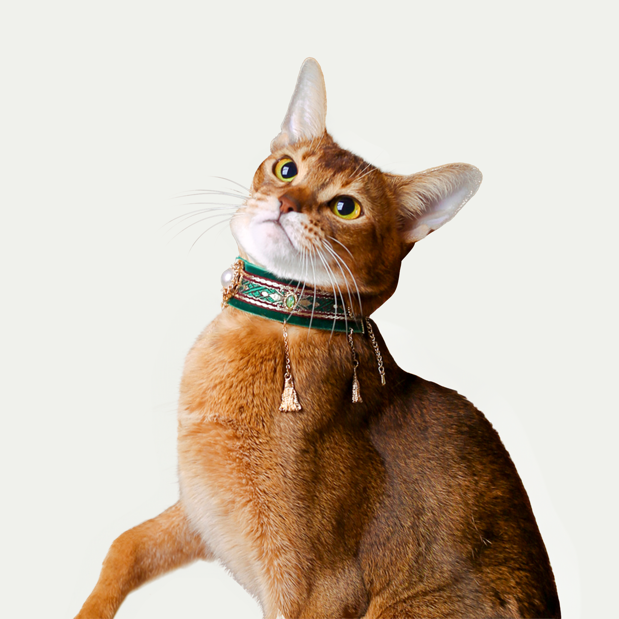 Velvet Cat Choker Collar - Soft & Stylish Pet Necklace for Small Dogs & Cats - Perfect for Halloween, Christmas & Costume Parties