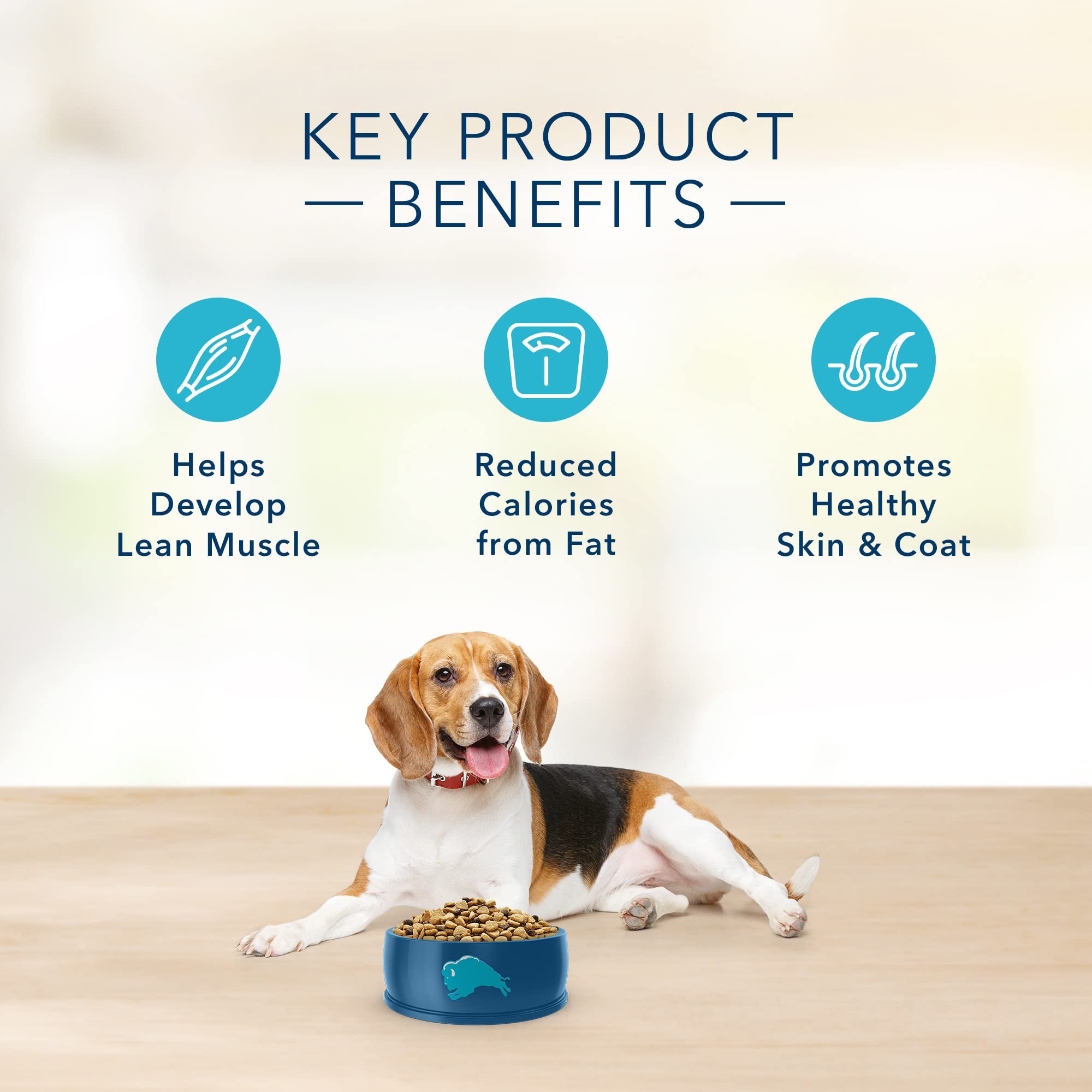 Blue Buffalo Basics Skin & Stomach Care Natural Adult Healthy Weight Dry Dog Food - Turkey & Potato Recipe, 24 lb Bag - Sensitive Skin & Digestive Support for Dogs with Allergies - Perfect for Indoor & Active Dogs
