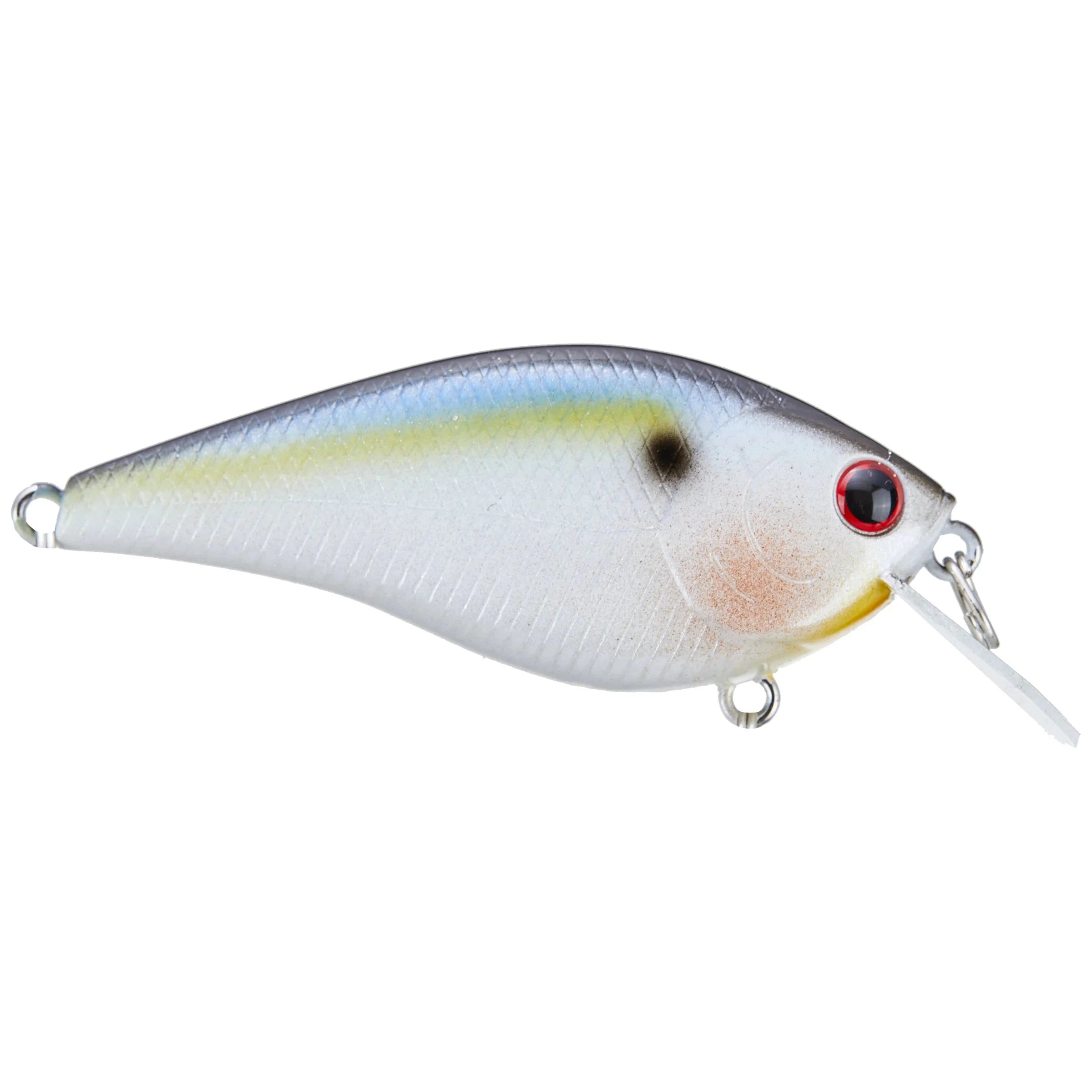 Lucky Craft KJ Flat 1.5 Crankbait Fishing Lure - Topwater Bass Fishing Bait for Freshwater & Saltwater - Perfect for Casting, Trolling and Shore Fishing