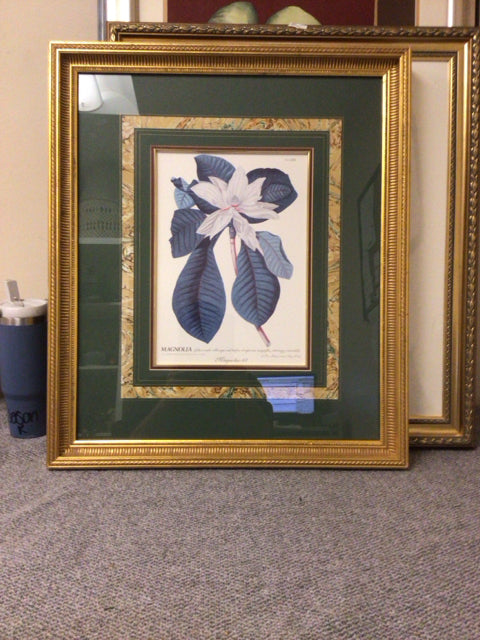 27 x 33 Magnolia Botanical Print with Gilt Frame - Vintage Floral Wall Art for Living Room, Bedroom & Office Decor