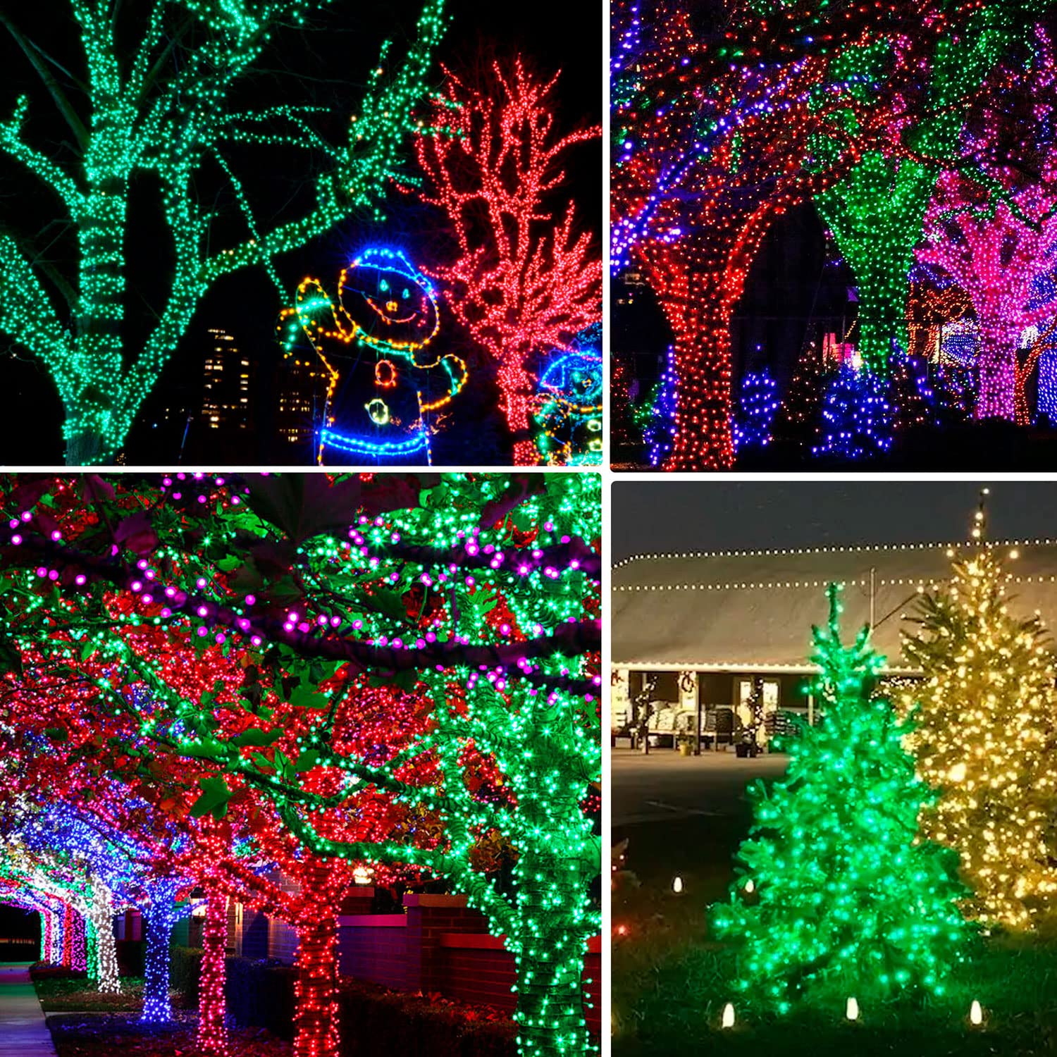 Dazzle Bright 20FT LED Fairy Lights - Battery Operated Waterproof String Lights for St. Patrick's Day & Christmas Decor - Indoor/Outdoor Use