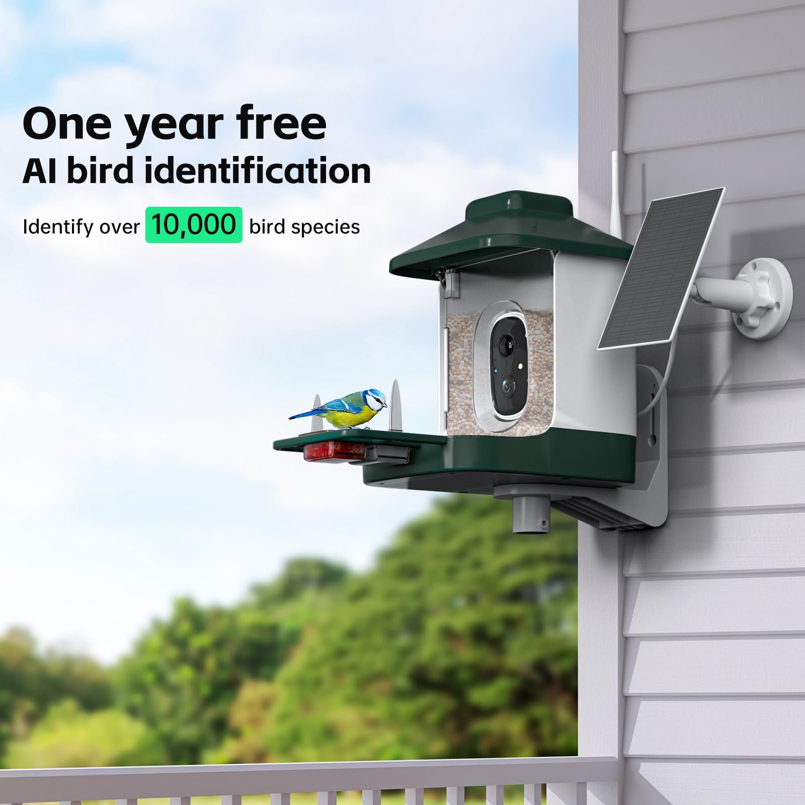 1 Year AI Smart Bird Feeder with Camera - Solar Powered 1080p Live Video, AI Bird Species Identification, 2.4Ghz WiFi & Instant Arrival Alerts - Perfect Gift for Bird Watchers & Nature Lovers - Ideal for Backyard Birdwatching, Wildlife Monitoring & Outdoor Enthusiasts