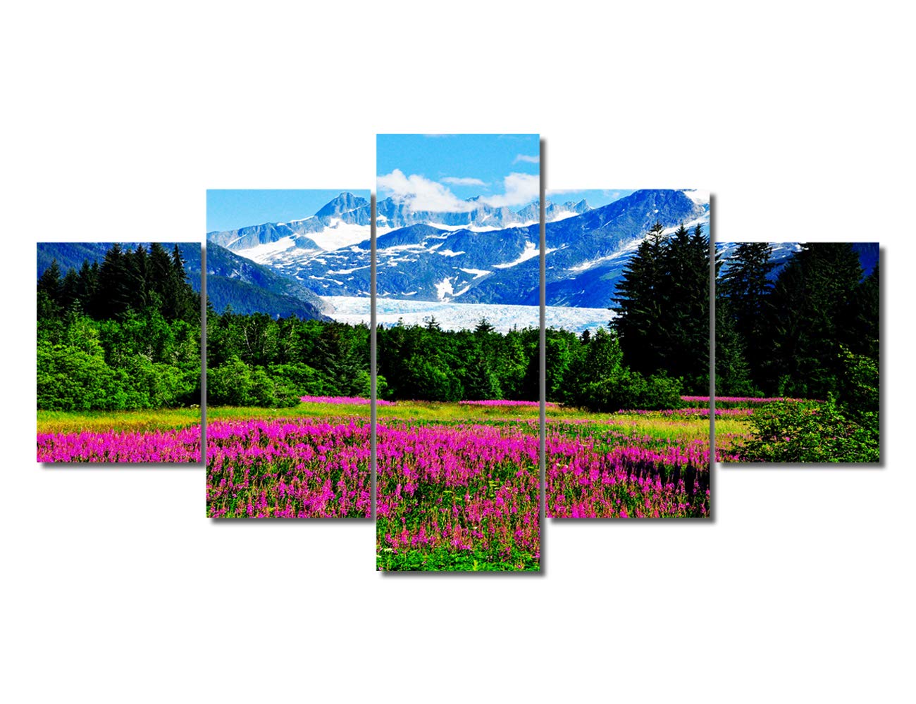 5-Panel Canvas Wall Art - Stunning Glacier & Alaska Mountain Landscape with Flowers & Forest - Panoramic Scenery Picture Frames Ready to Hang - Perfect for Living Room, Bedroom & Home Office Decor | Nature-Inspired Wall Decor for Modern Homes