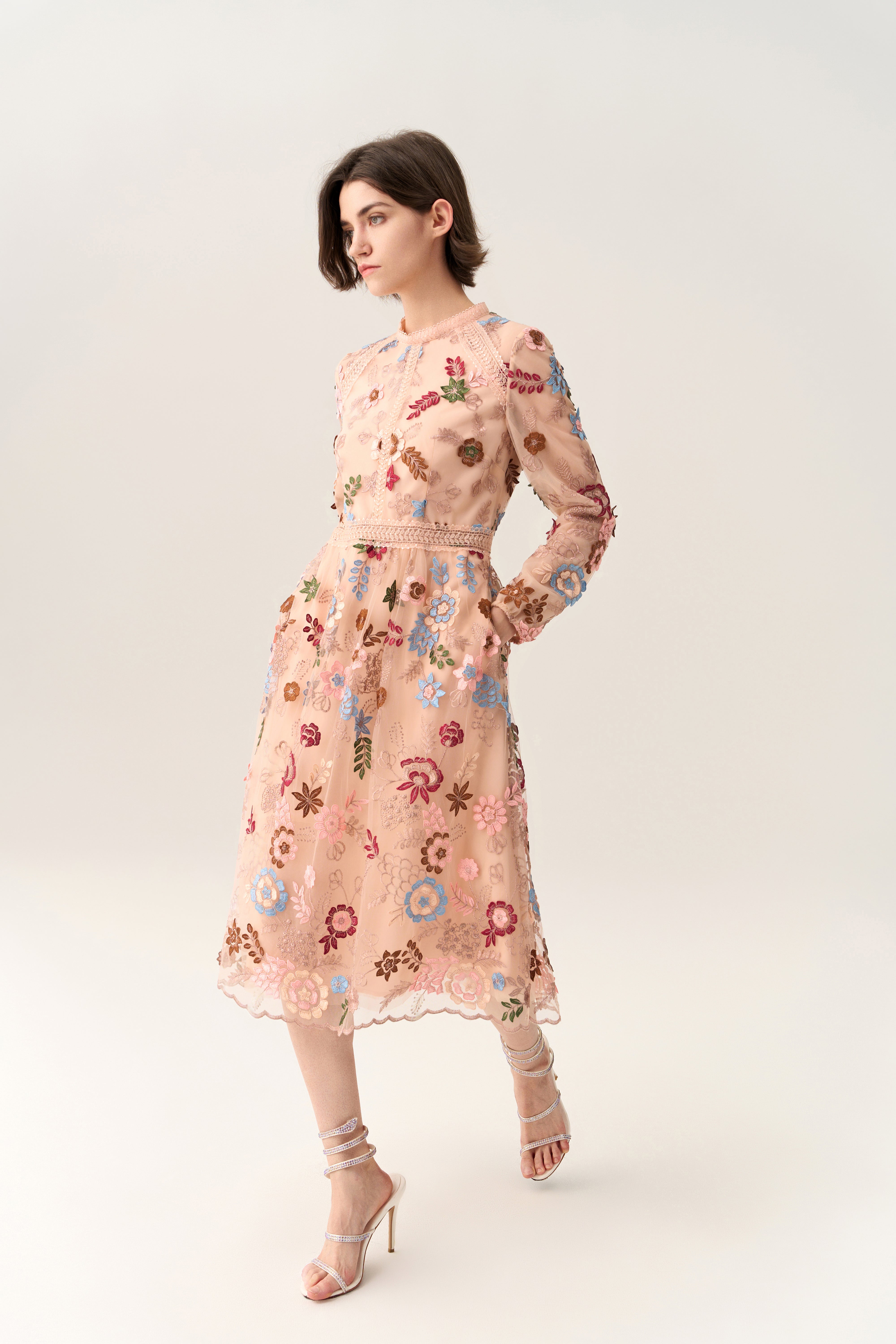 Fairy Tale Embroidered Mesh Dress for Women - Elegant Floral Lace Party Gown - Perfect for Weddings, Prom, Evening Events and Special Occasions