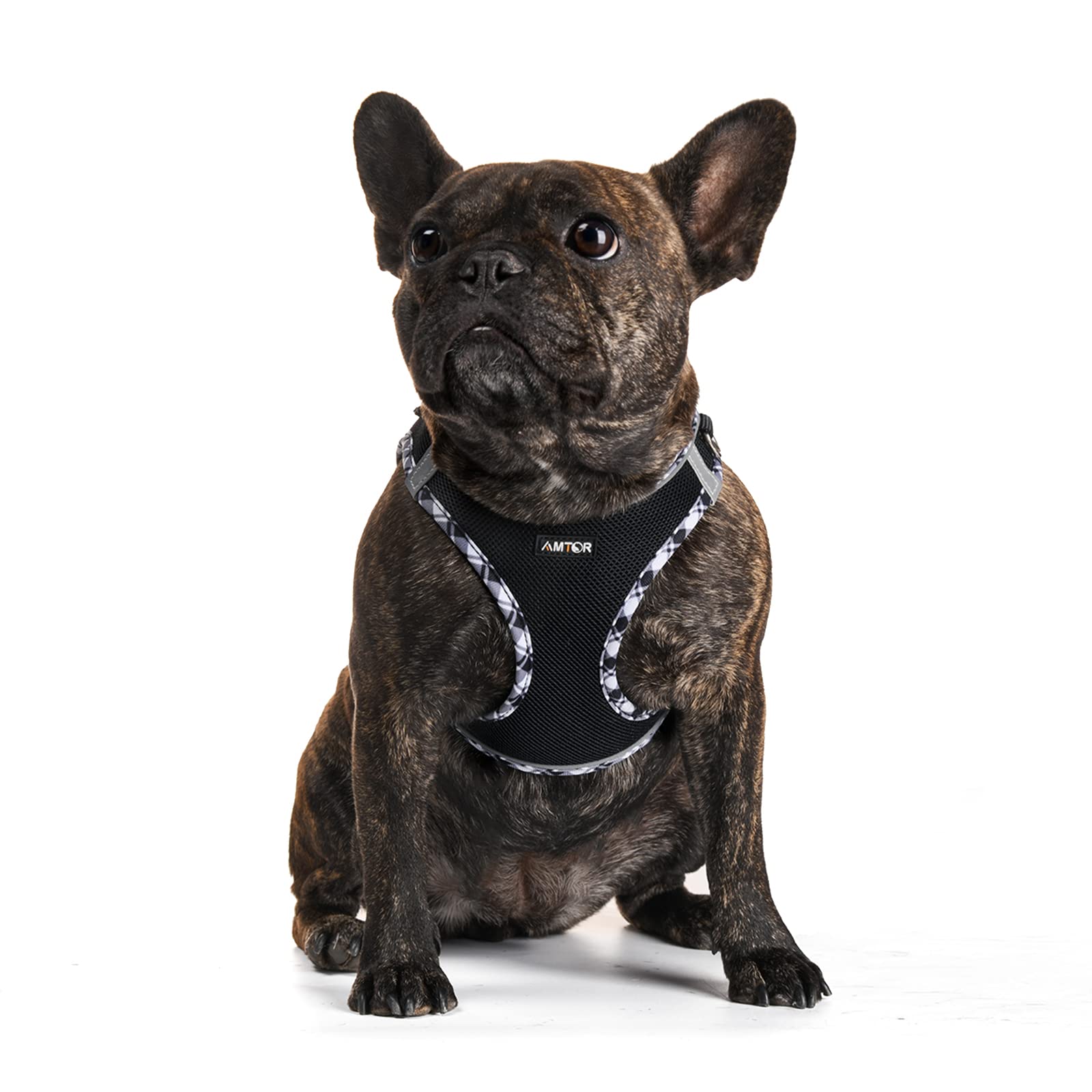 AMTOR No Escape Small Dog Harness with Leash Set - Adjustable Step-in Reflective Vest for XS/S/M/L Dogs - Perfect for Training, Walking & Night Safety (Black & White, XS) - Ideal for Puppies, Outdoor Adventures & Daily Walks