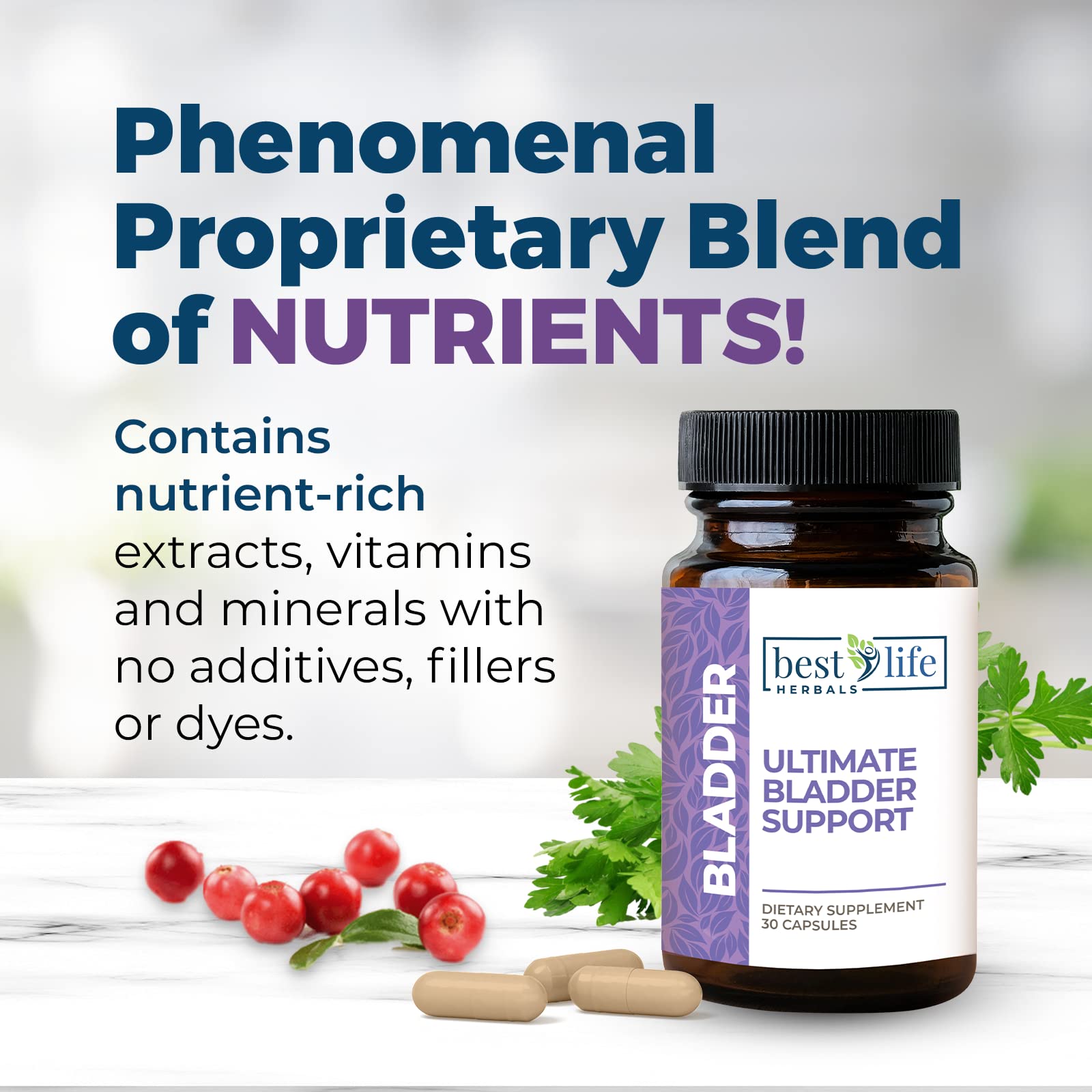 Premium Bladder Support Supplement - 30 Capsules per Bottle (6-Pack) | Natural Urinary Health Support for Women & Men | Promotes Comfort & Confidence | Ideal for Active Lifestyle, Travel & Daily Wellness