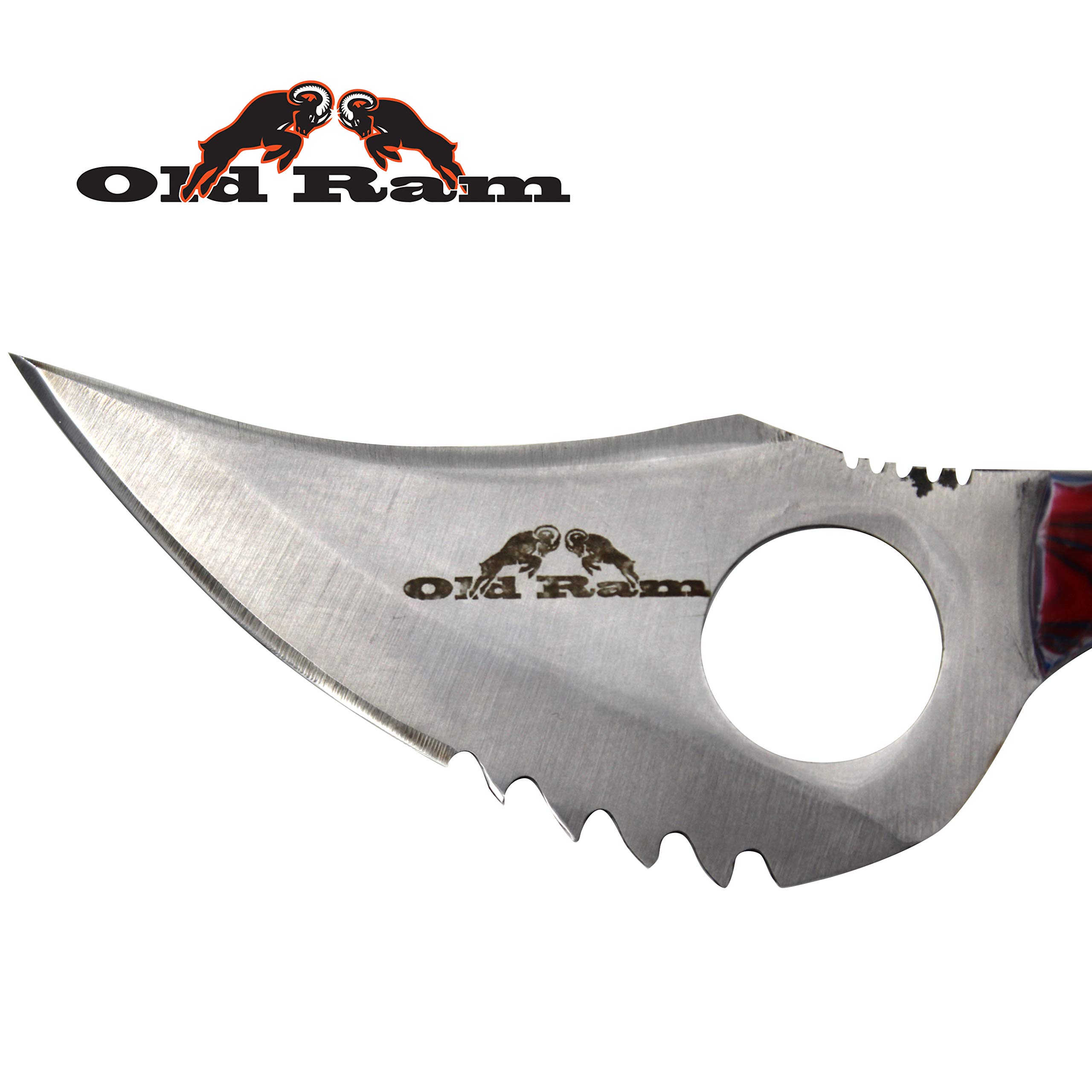 Premium Heavy Duty Sharp Multi-Color Fixed Blade Skinner Knife with Saw Back & Nylon Sheath - Ideal for Hunting, Camping, Survival & Outdoor Adventures